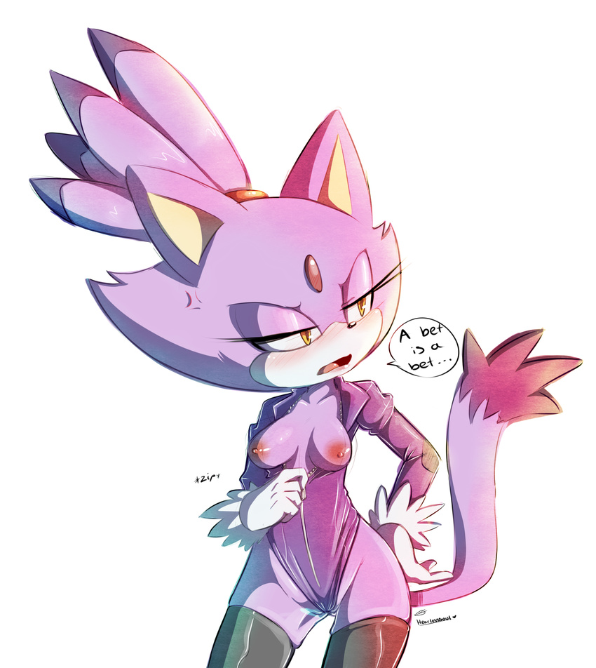 blaze_the_cat breasts female hearlesssoul sonic_(series) undressing