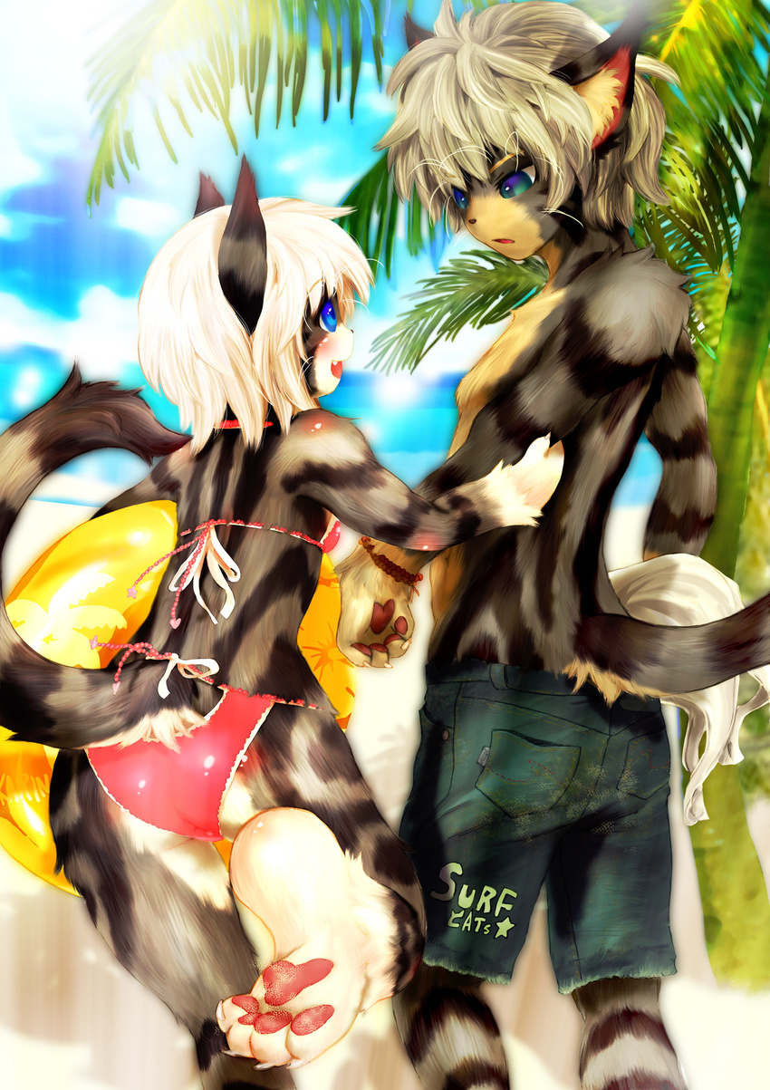 anthro beach bell bikini blue_eyes cat clothing collar duo feline female jeans karin male male/female mammal seaside swimsuit tetetor-oort text wessel