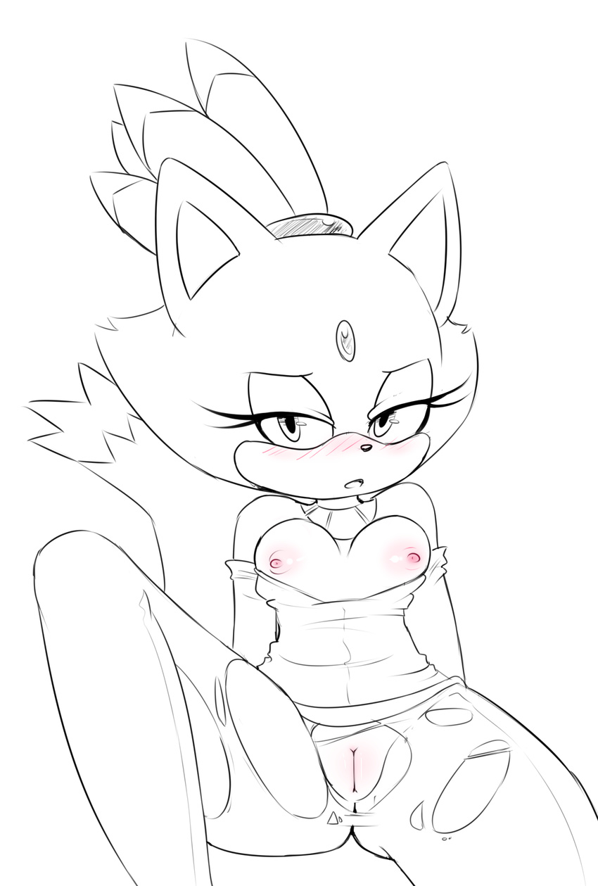 2015 anthro blaze_the_cat blush breasts cat clothed clothing feline female hearlesssoul looking_at_viewer mammal nipples open_mouth pussy simple_background solo sonic_(series) spread_legs spreading torn_clothing