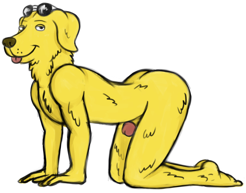 all_fours amigodan bojack_horseman butt canine dog eyewear fur glasses labrador looking_at_viewer male mammal mr._peanutbutter nude penis penis_tip simple_background smile solo tongue tongue_out white_background yellow_fur