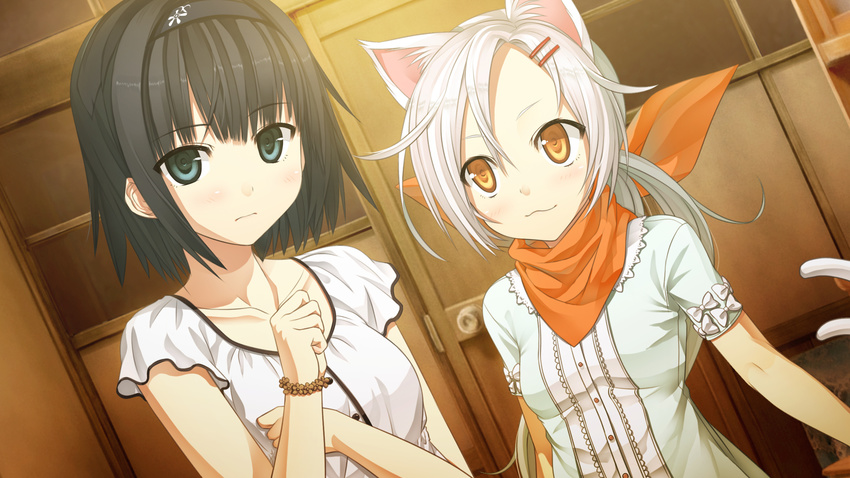 :3 animal_ears arishima_alice bangs black_hair blunt_bangs blush bow breasts cat_ears cat_tail chima_(monobeno) collarbone cura game_cg hair_ornament hairband hairclip highres looking_at_viewer medium_breasts monobeno multiple_girls scarf short_hair short_sleeves silver_hair small_breasts tail yellow_eyes