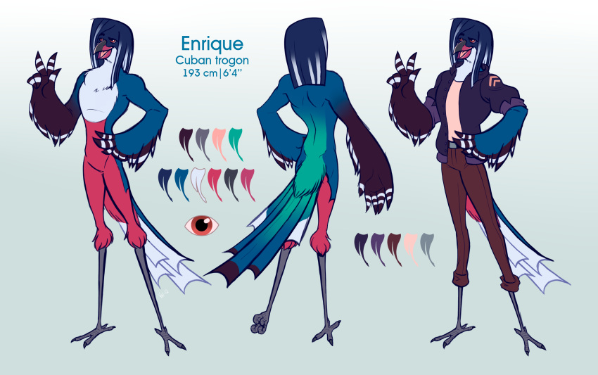 2017 4_toes 5_fingers absurd_res anthro athletic avian back_muscles beak belt biped bird bird_feet black_beak black_feathers black_tail black_wings blue_feathers blue_hair blue_tail brown_bottomwear brown_clothing character_name claws clothed clothing color_swatch countershade_face countershade_tail countershade_torso countershading cuban_trogon digital_drawing_(artwork) digital_media_(artwork) disembodied_eyes english_text enrique_(eri-yo) eyebrows feather_hands feather_tuft feathered_wings feathers featureless_crotch front_and_back front_view full-length_portrait fully_clothed green_feathers green_tail grey_background grey_claws grey_clothing grey_topwear hair hair_streak hand_on_hip hi_res male measurements model_sheet multicolored_feathers multicolored_hair multicolored_tail multiple_angles neck_tuft nude off/on open_beak open_mouth open_smile orange_eyes pants pink_tongue portrait raised_eyebrows rear_view red_beak red_feathers red_tail simple_background smile solo species_name standing striped_feathers striped_wings stripes tail_feathers talons tan_clothing tan_topwear text toe_claws toes tongue trogon trogonid tuft two_tone_beak two_tone_hair two_tone_wings undershirt v_sign val-q white_countershading white_feathers white_hair white_stripes white_tail white_wings winged_arms wings zygodactyl