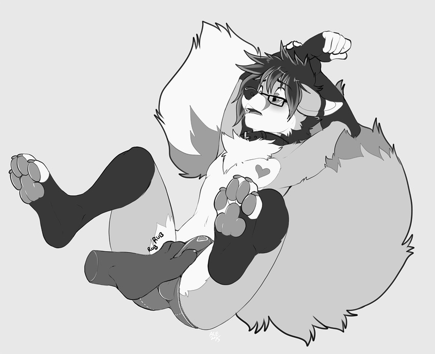 &lt;3 2015 anthro blush bulge canine clothed clothing collar disembodied_foot eyewear faxy fondling fox fur glasses hair half-dressed male mammal open_mouth panties roanoak spreading tongue topless underwear white_fur