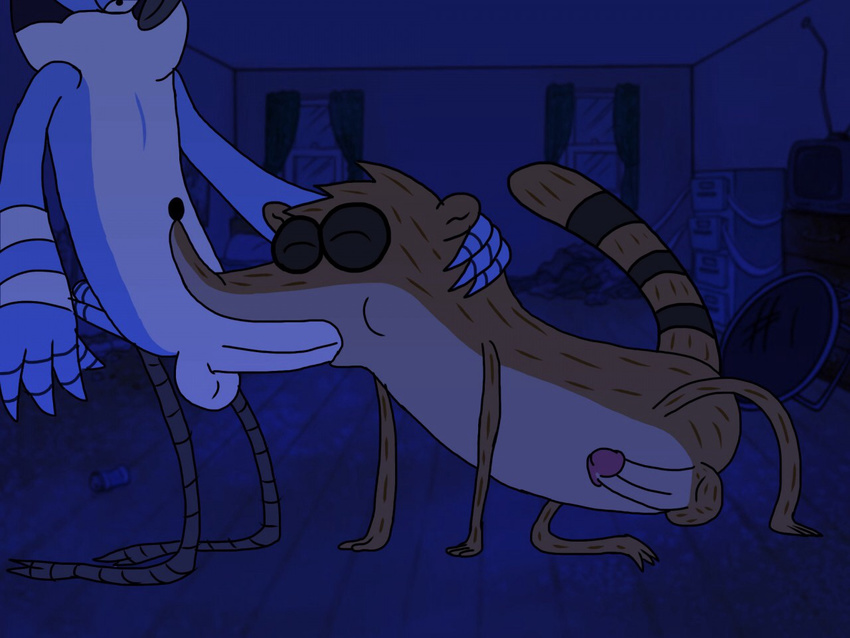 all_fours anthro avian balls beak bedroom bird black_nose blue_jay brown_fur butt cartoon_network duo erection eyes_closed fellatio fur humanoid_penis male male/male mammal mordecai_(regular_show) nude oral penis raccoon regular_show rigby_(regular_show) sex smile window