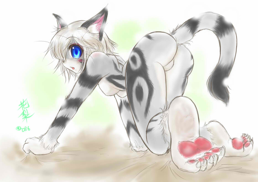 anthro ass_up blue_eyes blush breasts butt cat claws feline female fur grey_fur hair hindpaw karin kneeling mammal paws rear_view short_hair small_breasts solo striped_fur stripes whiskers white_hair young