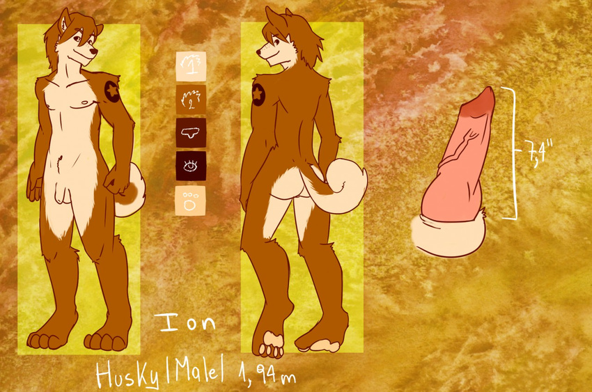 2015 4_toes animal_genitalia anthro barefoot brown_fur brown_hair butt canine canine_penis disembodied_penis dog english_text erection fur hair happy hindpaw husky looking_at_viewer male mammal model_sheet multiple_angles nipples nude pawpads paws penis pink_penis simple_background siriuswolfus smile soles solo star tan_fur text toes vein veiny_penis wolf