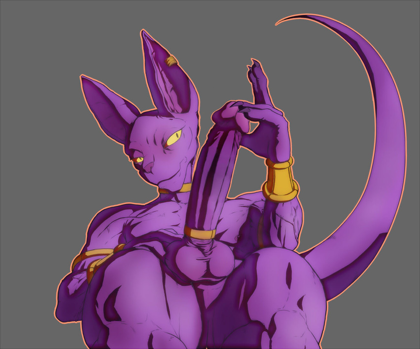 anthro balls beerus cat cock_ring dragon_ball dragon_ball_z ducati ear_piercing edit erection feline fur gold_(metal) grey_background jewelry looking_at_viewer male mammal monster muscles necklace nude penis piercing purple_fur simple_background smile solo yellow_eyes