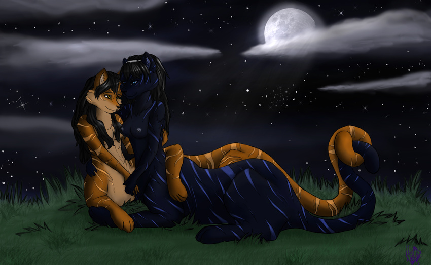 black_hair breasts chakat cloud couple cuddling duo earthpaw eye_contact feline female female/female grass hair kraven-gothly long_hair mammal moon night nightstorm nipples nude outside sky star starry_sky taur