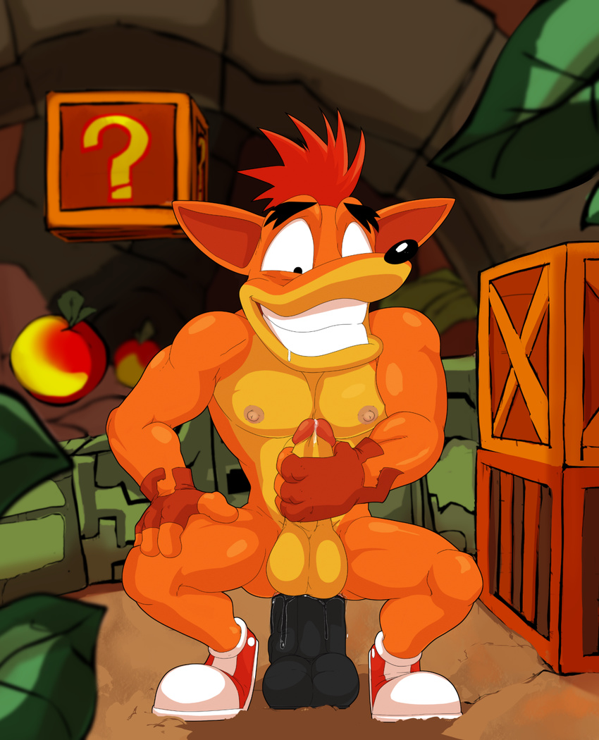 anal anal_insertion anal_penetration ass_juice balls bandicoot circumcised clothing crash_bandicoot crash_bandicoot_(series) crouching detailed-background digital_media_(artwork) dildo dildo_sitting front_view gloves grin insertion jersey_devil looking_down male mammal marsupial mostly_nude muscles nipples pecs penetration penis penis_dildo precum running_shoes sex_toy solo video_games