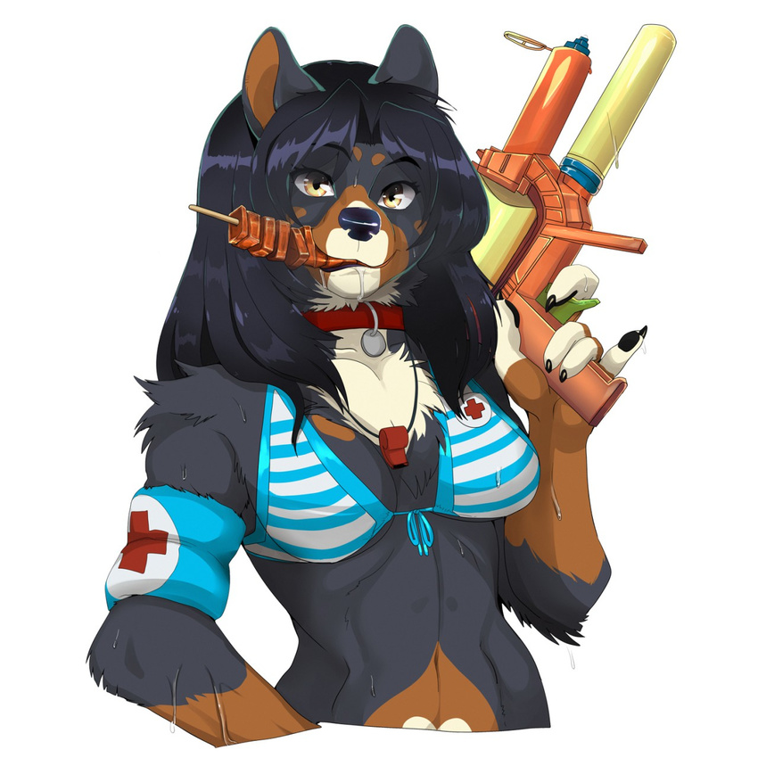 2015 anthro bikini blackberry brown_hair canine clothing collar dog eating female food hair kebab lifeguard looking_at_viewer lunch mammal nurse saliva shebeast simple_background solo stick supersoaker swimsuit water_gun whistle white_background