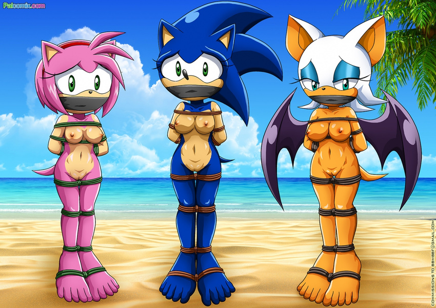 amy_rose bat bbmbbf beach bound breasts coconut_tree crossgender erect_nipples exhibitionism female gag gagged hairband hedgehog mammal mobius_unleashed nipples palcomix public pussy rope rouge_the_bat sand sea seaside sonic_(series) sonic_the_hedgehog water wings