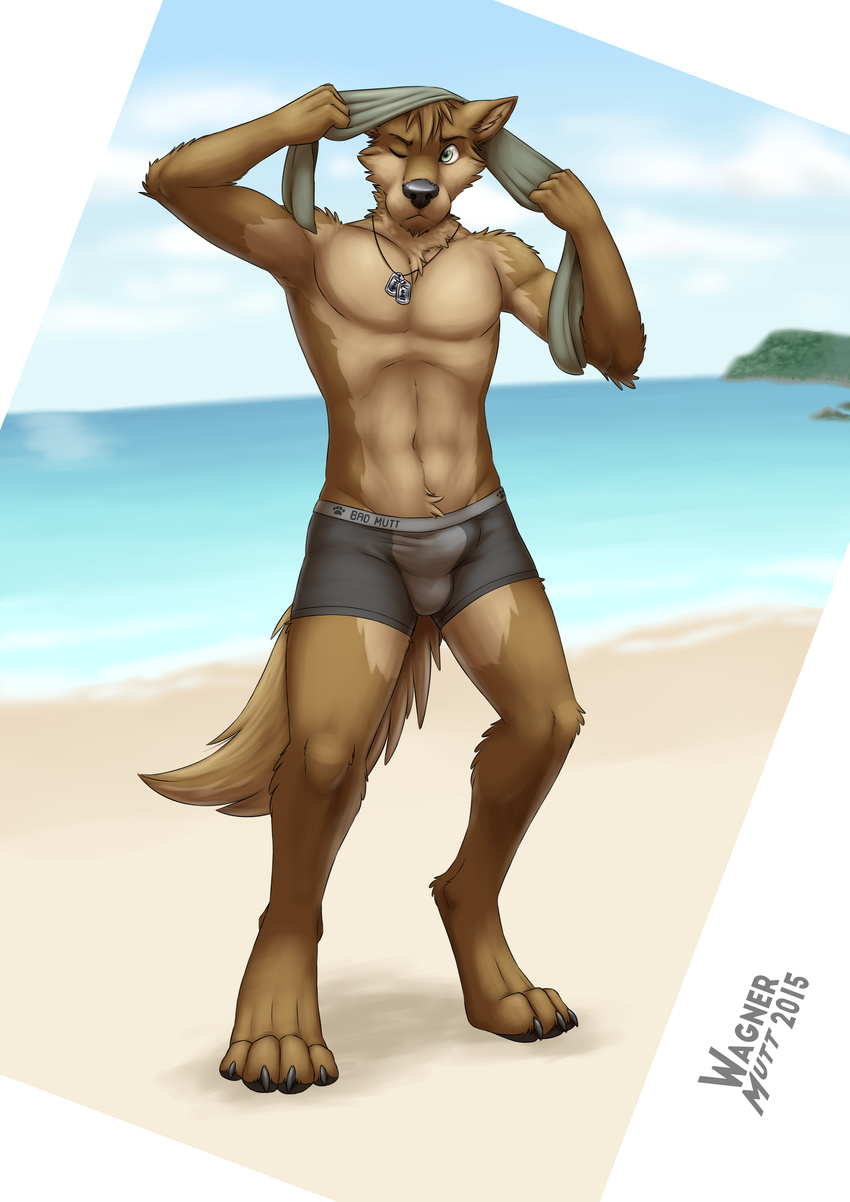 abs anthro armpits barefoot beach boxers_(clothing) bulge canine claws clothing dog_tags english_text fur hi_res looking_away male mammal muscles navel one_eye_closed outside pecs public raised_arm seaside solo standing text toe_claws towel underwear wagnermutt wolf