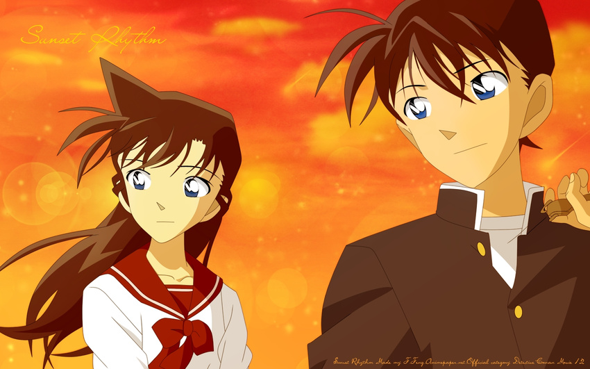 detective_conan kudou_shinichi mouri_ran tagme vector