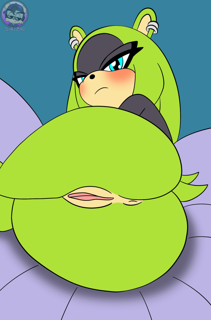 absurd_res afrosoricid anthro anus butt ear_piercing ear_ring female fur genitals green_body green_fur half-closed_eyes hand_on_butt hi_res idw_publishing looking_at_viewer mammal narrowed_eyes nude nude_anthro nude_female piercing ring_piercing sega sharp_teeth sirjzau solo sonic_the_hedgehog_(comics) sonic_the_hedgehog_(idw) sonic_the_hedgehog_(series) surge_the_tenrec teeth tenrec vulva