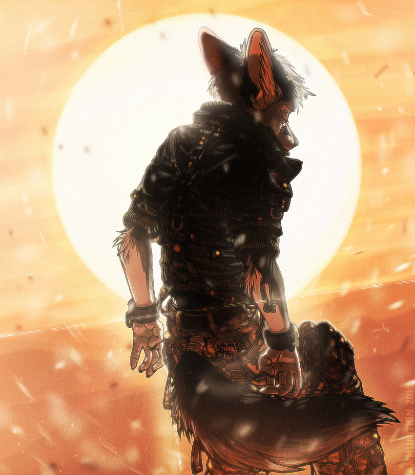 anthro biped bracelet canine clothed clothing coat digital_media_(artwork) fighterjet fox hair jewelry male mammal outside post-apocalyptic sky solo sun