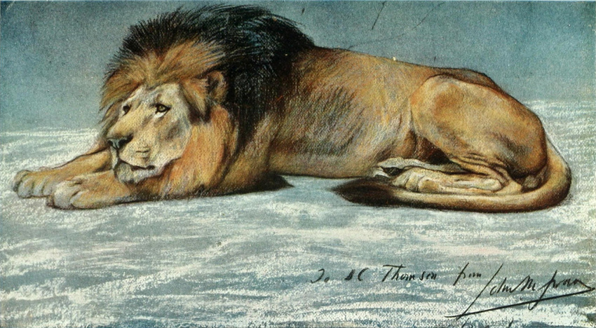 feline feral fur hi_res john_macallan_swan license_info lion male mammal mane pastel_(artwork) proper_art public_domain quadruped solo tail_tuft traditional_media_(artwork) tuft