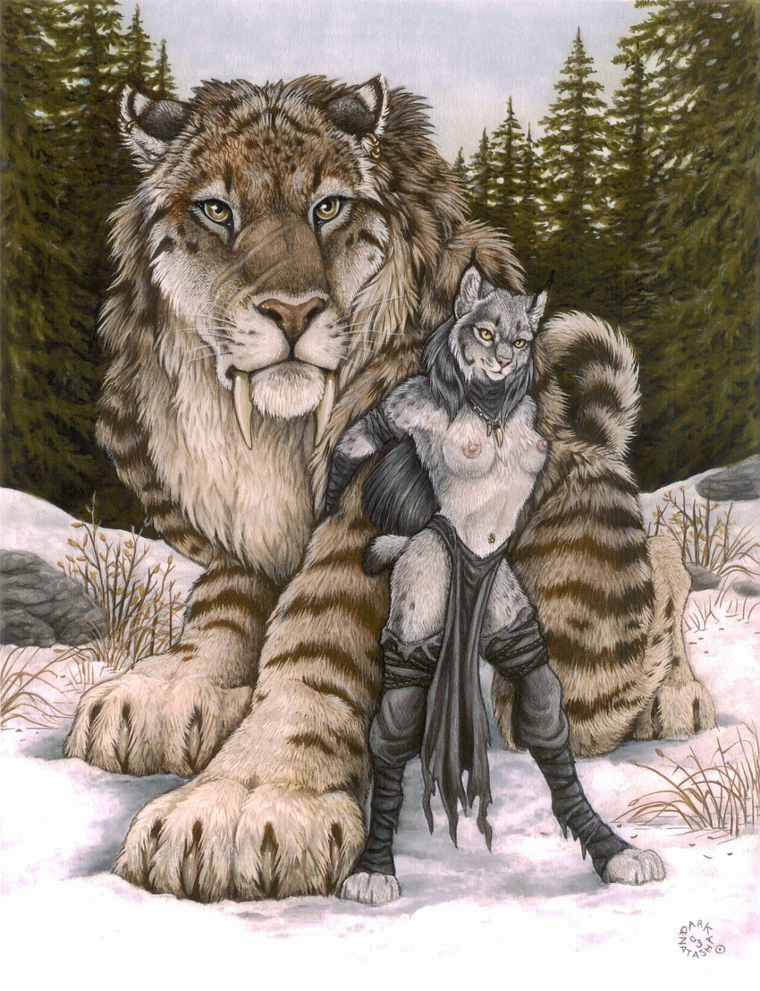 absurd_res ambiguous_gender anthro areola barefoot biped black_clothing breasts brown_fur claws clothed clothing dark_natasha detailed_background digitigrade duo ear_piercing ear_tuft edit fangs feline female feral forest fur giant grey_fur grey_hair hair half-dressed hi_res hindpaw leg_grab loincloth long_hair looking_at_viewer lynx mammal mullet nature navel navel_piercing necklace nipples nude outside painting_(artwork) paws piercing plant quadruped rock saber-toothed_cat sabertooth_(feature) scan scar scenery short_tail size_difference sky smaller_female snow spots spotted_fur standing striped_fur stripes topless traditional_media_(artwork) tree tuft whiskers white_fur wood