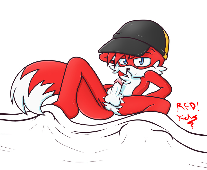 anus balls bed_sheet blue_eyes hat male penis redkelv redkelv_(character) solo sonic_(series)