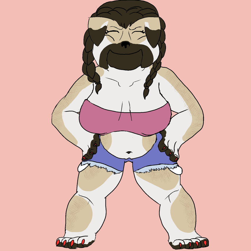 braided_hair canine claws clothing cutoffs denim_shorts dog female fur hair mammal pug shorts simple_background solo tartaurus tube_top