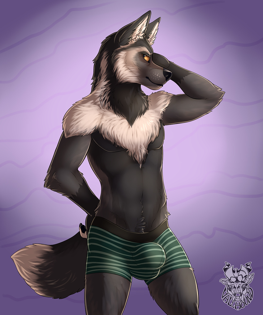 2015 anthro black_fur black_lips black_nose boxer_briefs bulge canine clothing connor_(contron) fur inviting male mammal presenting smile solo standing underwear vallhund wolf yellow_eyes