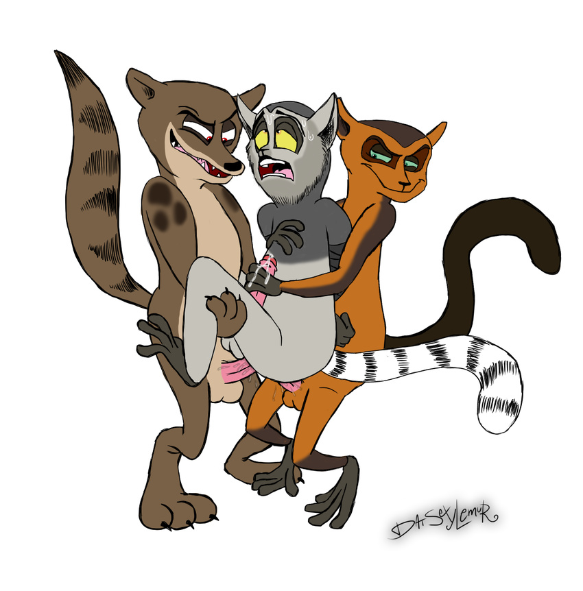 all_hail_king_julien balls bdsm bondage bound civet clemson cum cumshot datsexylemur double_penetration dreamworks duct_tape erection fanaloka feral forced fossa gays group group_sex handjob homo karl king_julien lemur madagascar male male/male male_male_male male_on_male_on_male mammal masturbation non_consensual nonconsensual orgasm penetration penis precum primate rape raping ring-tailed_lemur sex sweat the_penguins_of_madagascar threesome viverrid