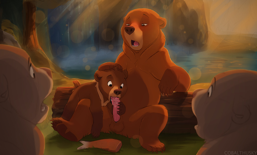 2015 age_difference balls bear blush brother_bear cobalthusky cub digital_drawing_(artwork) digital_media_(artwork) disney duo_focus erection exhibitionism forest front_view group humanoid_penis kenai koda licking male male/male mammal nature nude open_mouth oral orgasm_face outside penis penis_lick perspective public reclining semi-anthro sex sheath sitting size_difference spread_legs spreading surprise tongue tongue_out tree voyeur young