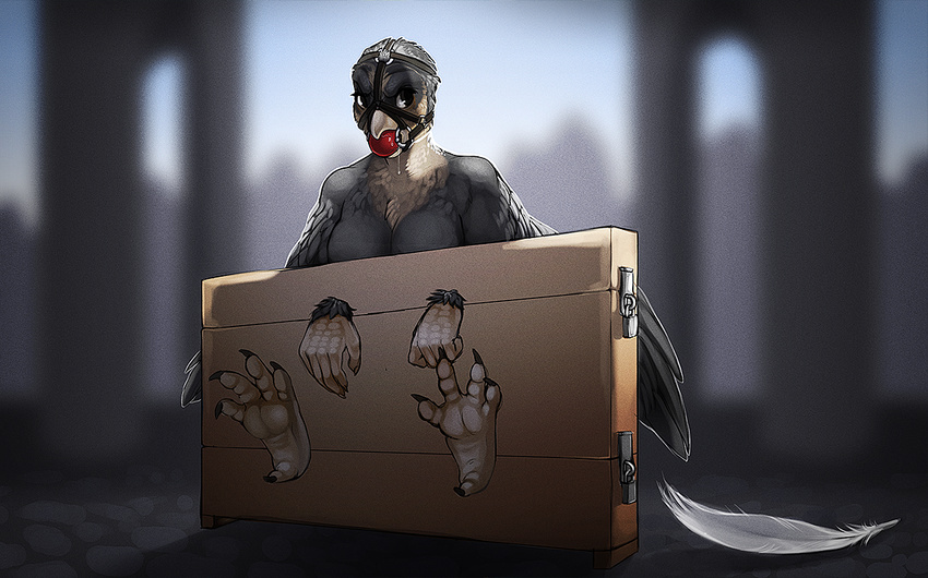 5_fingers 5_toes anthro avian beak bird black_eyes breasts claws drooling feathers feet female gag grey_feathers lock restrained saliva solo stocks theowlette toes wings