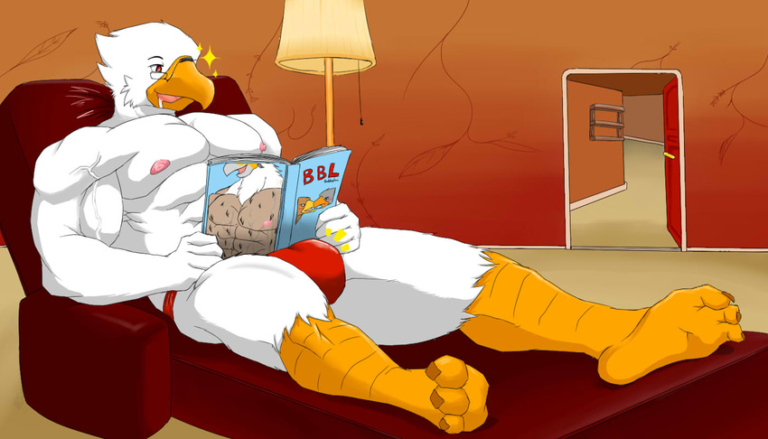 abs anthro avian beak bieps big_muscles book bulge clothed clothing eyewear feathers glasses half-dressed male metaball muscular nipples pecs pornography smile sofa solo speedo swimsuit talons toned topless vein white_body white_feathers