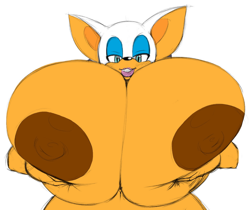anthro areola bat big_breasts breasts erect_nipples female huge_breasts hyper hyper_breasts mammal nipples rouge_the_bat seth65 solo sonic_(series) speeds text