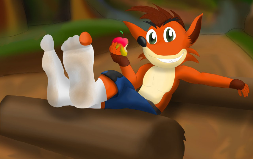 2013 bandicoot clothed clothing crash_bandicoot crash_bandicoot_(series) dirty feet foot_fetish footwear forest half-dressed jungle legwear looking_at_viewer lounge lu123 male mammal marsupial sitting smile socks solo topless torn_clothing tree video_games