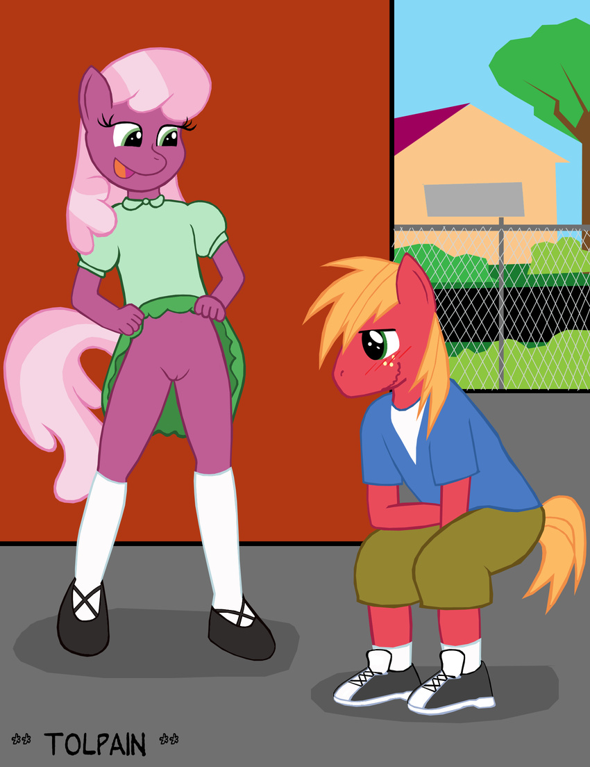 anthro anthrofied big_macintosh_(mlp) blonde_hair blush bottomless cheerilee_(mlp) clothed clothing dress duo earth_pony equine exhibitionism female flashing friendship_is_magic fur green_eyes hair half-dressed horse legwear male male/female mammal multicolored_hair my_little_pony open_mouth pony purple_fur pussy skirt skirt_lift smile stockings tolpain two_tone_hair upskirt