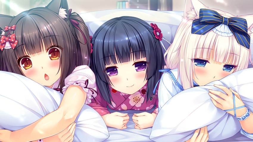 animal_ears bed black_hair blue_eyes blush bow cat_ears chestnut_mouth chocola_(sayori) game_cg girl_sandwich hair_bow japanese_clothes kimono looking_at_viewer minazuki_shigure multiple_girls nekopara orange_eyes pillow pillow_hug polka_dot polka_dot_bow purple_eyes sandwiched sayori slit_pupils smile vanilla_(sayori) white_hair