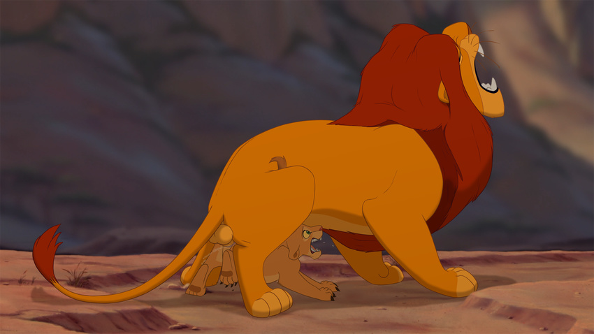 backsack balls cub cum cum_from_pussy cum_in_pussy cum_inside cum_splatter disney female larger_male male mufasa nala open_mouth rearing screaming size_difference smaller_female the_giant_hamster the_lion_king young
