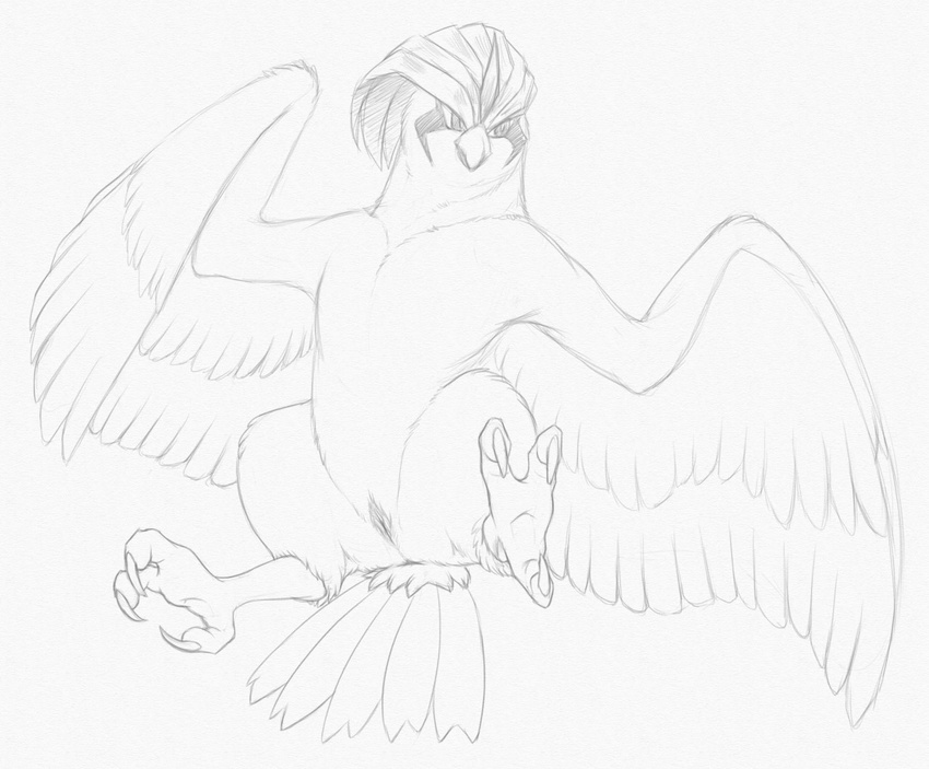 2015 animal_genitalia anus avian beak bird butt claws female feral looking_at_viewer monochrome nintendo nude pencil_(artwork) pidgeotto pok&eacute;mon pussy simple_background sketch solo traditional_media_(artwork) video_games wings yaroul