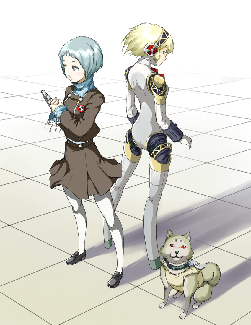 aegis_(persona) android back blonde_hair blue_hair dog evoker gohandesu_yo highres koromaru legs looking_back multiple_girls pantyhose persona persona_3 school_uniform short_hair white_legwear yamagishi_fuuka