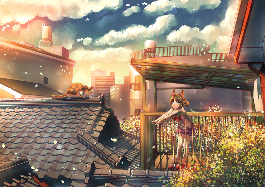 :&lt; against_railing animal animal_ears balcony bare_legs brown_hair building cat cat_ears cat_tail city cloud cloudy_sky drainpipe fake_animal_ears green_eyes leaf leaning_forward original outdoors outstretched_arms petals plant ponytail puffy_short_sleeves puffy_sleeves railing red_footwear red_hair rooftop shirt shoes short_ponytail short_sleeves sky sleeveless sleeveless_shirt solo sunlight suou_sakura tail tile_roof tiles tortoiseshell_cat tree water_tower wooden_floor