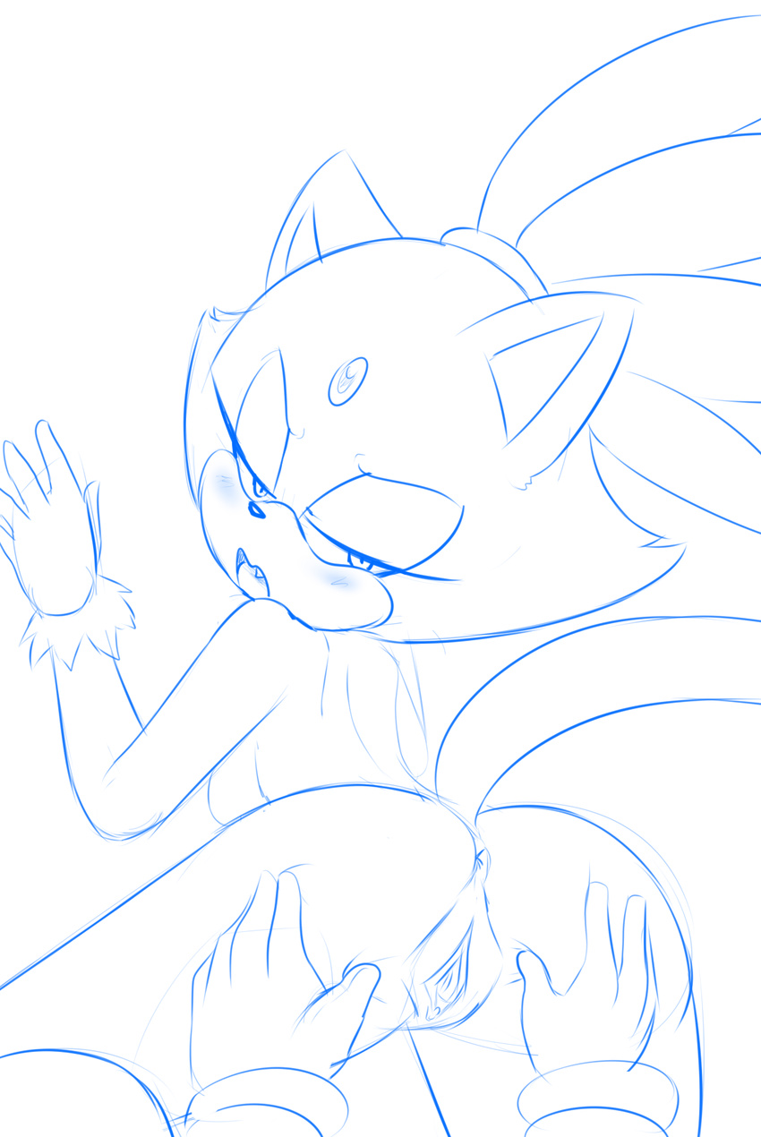 anthro anus bedroom_eyes blaze_the_cat blush breasts butt cat clothing duo feline female fur half-closed_eyes hearlesssoul looking_back male male/female mammal nude open_mouth presenting presenting_hindquarters presenting_pussy pussy simple_background sonic_(series) spreading