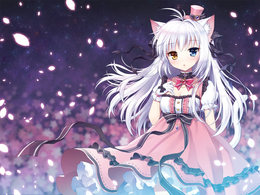 aina_rive animal_ears blue_eyes cat_ears cat_tail gem gloves hair_ribbon hand_on_own_chest hat heterochromia long_hair mauve mini_hat mini_top_hat original ribbon solo tail top_hat white_gloves white_hair yellow_eyes