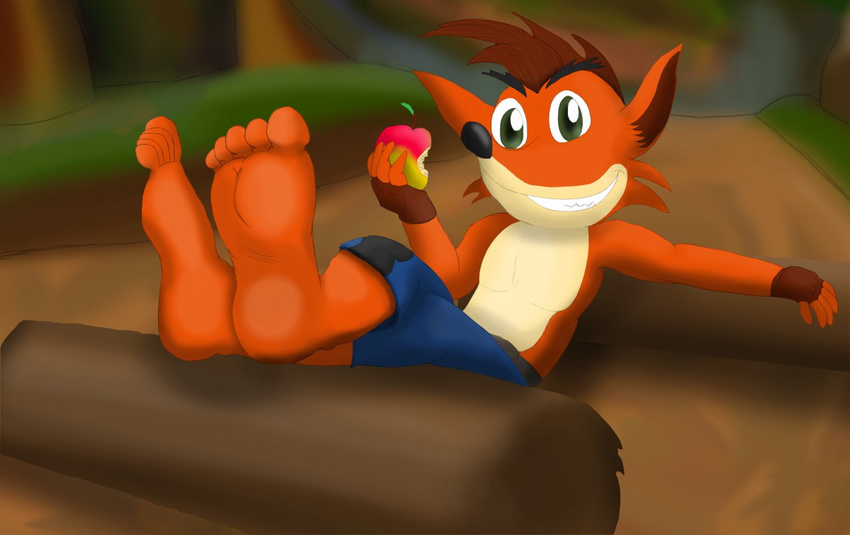 2013 bandicoot barefoot clothed clothing crash_bandicoot crash_bandicoot_(series) feet foot_fetish forest half-dressed jungle legwear looking_at_viewer lounge lu123 male mammal marsupial sitting smile solo topless tree video_games