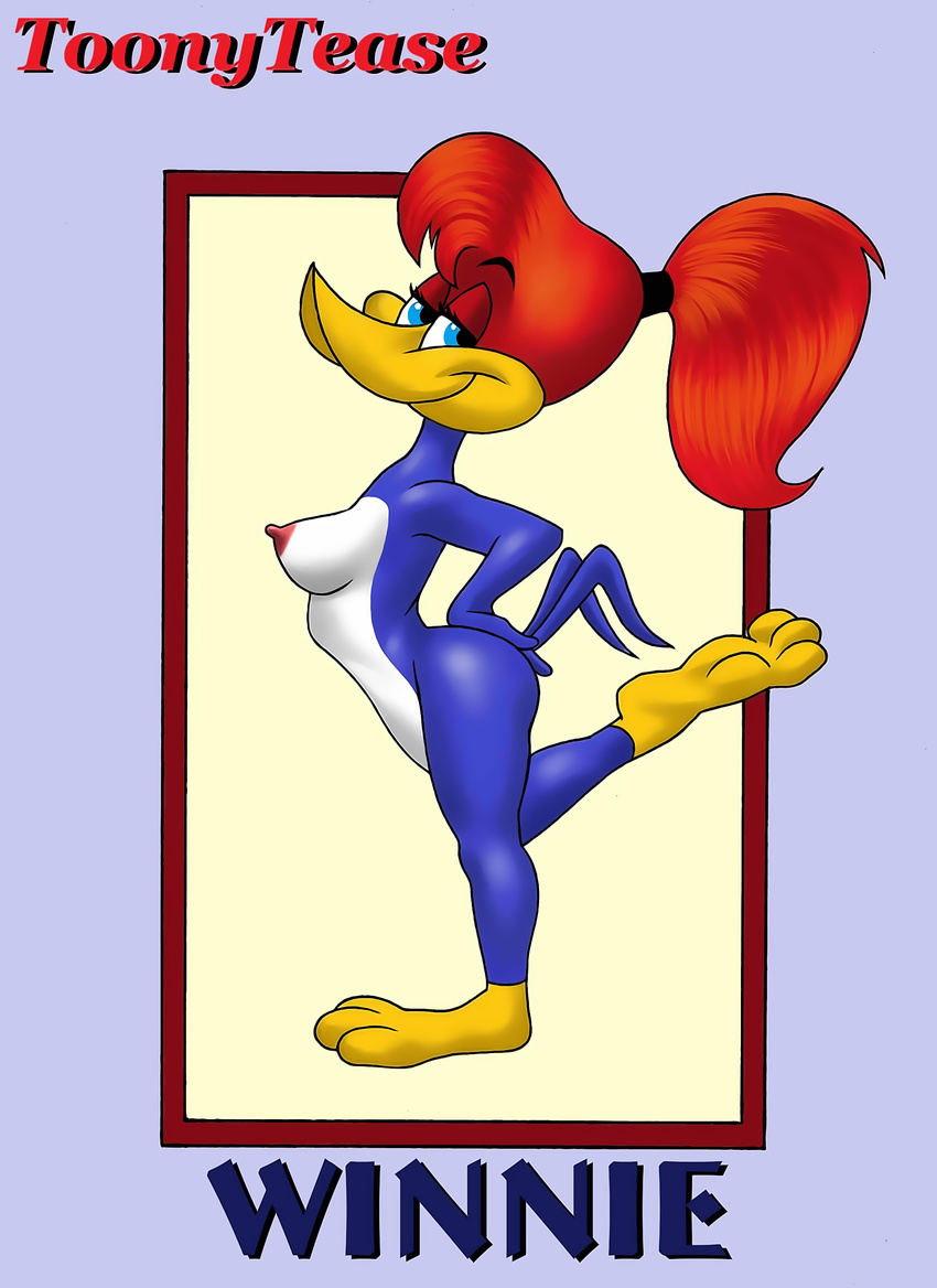 anthro avian beak big_breasts bird blue_eyes breasts erect_nipples female hair huge_breasts nipples non-mammal_breasts nude red_hair sethereid sex the_new_woody_woodpecker_show toonytease universal_pictures winnie_woodpecker woodpecker woody_the_woodpecker_(series) woody_woodpecker