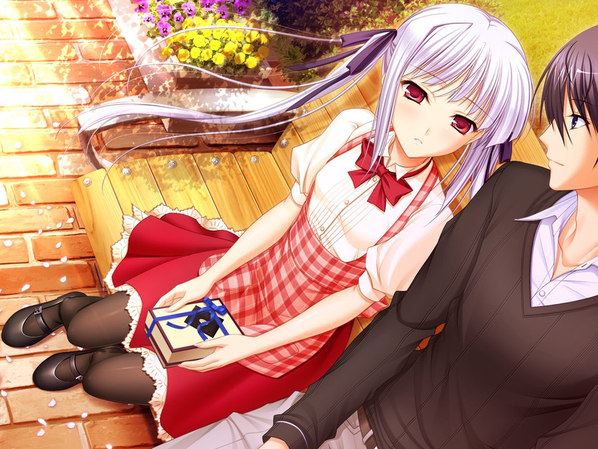 1girl apron belt bench black_hair black_legwear blue_eyes blush bow bowtie box breasts brick_floor buttons collared_shirt couple dutch_angle flower from_above game_cg gift gift_box grass hair_between_eyes hair_ribbon hetero holding imageboard_sample jpeg_artifacts komori_kei lace light_rays lisa_eostre long_hair long_sleeves looking_at_another looking_at_viewer mary_janes mizuno_takahiro outdoors pants pantyhose park_bench parted_lips petals petticoat plaid plaid_apron profile red_eyes ribbon shirt shoes short_sleeves sidelocks silver_hair sitting skirt small_breasts sunbeam sunlight walkure_romanze