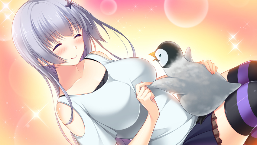 ^_^ ane_yome_concerto ayase_hazuki baby_penguin bird blush breasts closed_eyes dutch_angle emperor_penguin error game_cg hair_ornament hairpin hime_cut large_breasts long_hair penguin silver_hair skirt smile solo sparkle striped striped_legwear sylvie_yaburonya_hidaka thighhighs zettai_ryouiki