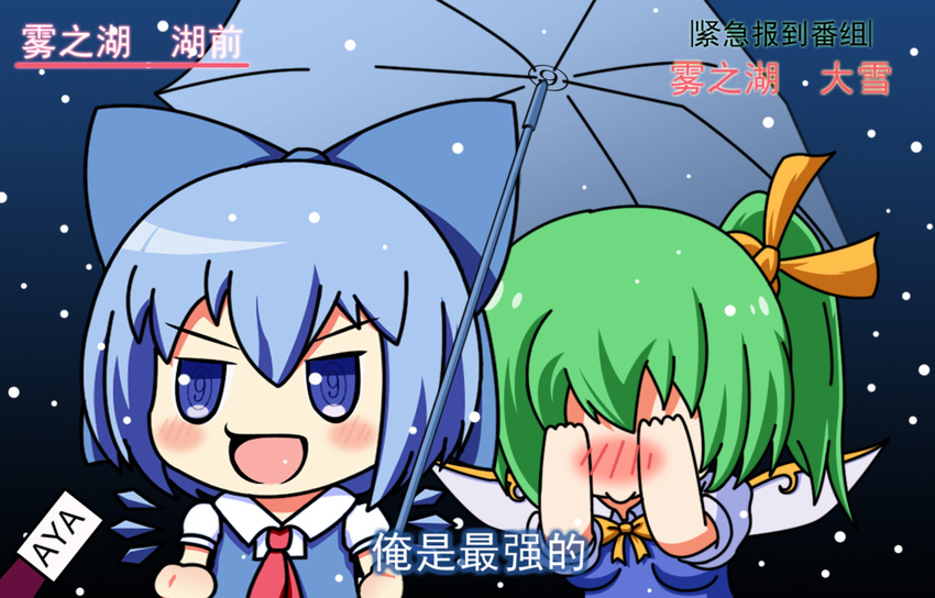 2girls blue_eyes blue_hair blush bow chibi chinese cirno covering_face daiyousei dress embarrassed green_hair hair_bow hair_ribbon interview long_hair meme microphone multiple_girls open_mouth parody ribbon shared_umbrella short_hair side_ponytail special_feeling_(meme) symbol-shaped_pupils touhou translated umbrella wings woofey