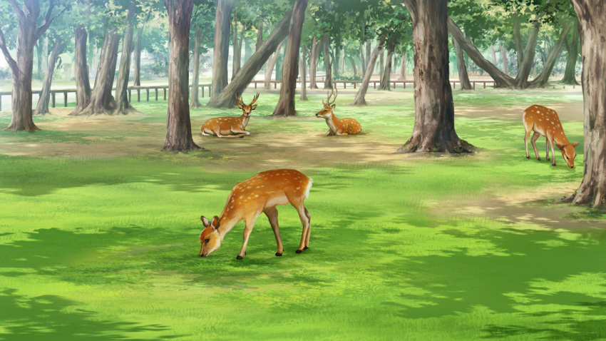 animal_focus day deer fence film_grain game_cg grass grazing_(livestock) izumi_tsubasu no_humans non-web_source official_art outdoors re:stage! scenery tree