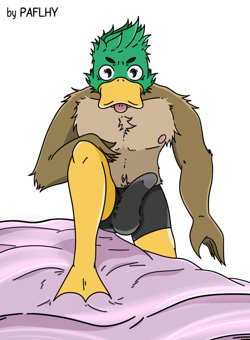 anatid anseriform anthro arm_on_leg aroused avian avian_feet beak bed bird body_hair bulge clothed clothing duck erection erection_under_clothing feathers fur furniture hair hand_on_leg happy_trail hi_res imminent_sex looking_at_viewer male muscular nipples on_bed paflhy pose solo standing tongue tongue_out underwear