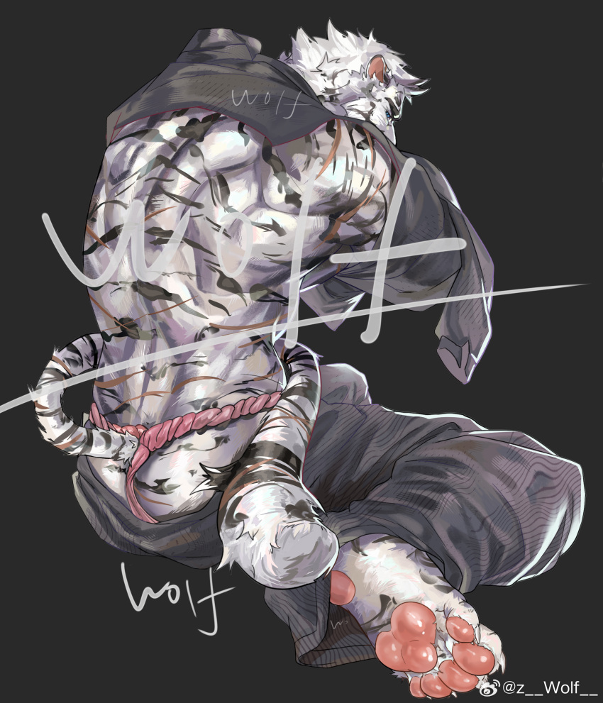 1boy abs animal_ears arknights artist_request ass_peek bara barefoot clothes_pull facial_hair feet foreshortening full_body furry furry_male goatee highres large_hands looking_back male_focus mountain_(arknights) muscular muscular_male pants pants_pull pectorals pink_fundoshi scar scar_across_eye scar_on_arm short_hair sidepec sideways_glance sitting soles solo tail_around_waist thick_eyebrows tiger_boy tiger_ears undressing white_hair