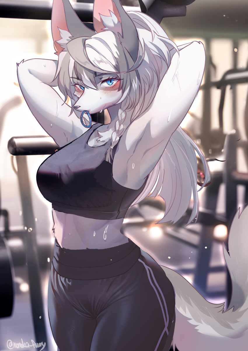 absurd_res anthro big_breasts blue_eyes bodily_fluids breasts canid canine canis clothed clothing female fox fur gym_clothing hair hi_res mammal nonoka917 shirt solo sweat tail topwear white_body white_fur