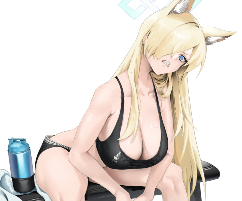 animal_ear_fluff animal_ears bare_arms bare_shoulders black_sports_bra blonde_hair blue_archive blue_eyes blue_halo breasts cleavage clenched_teeth collarbone commentary_request dog_ears dog_girl hair_over_one_eye halo highres kanna_(blue_archive) large_breasts paid_reward_available sebakanken sharp_teeth simple_background sitting sports_bra teeth tumbler white_background