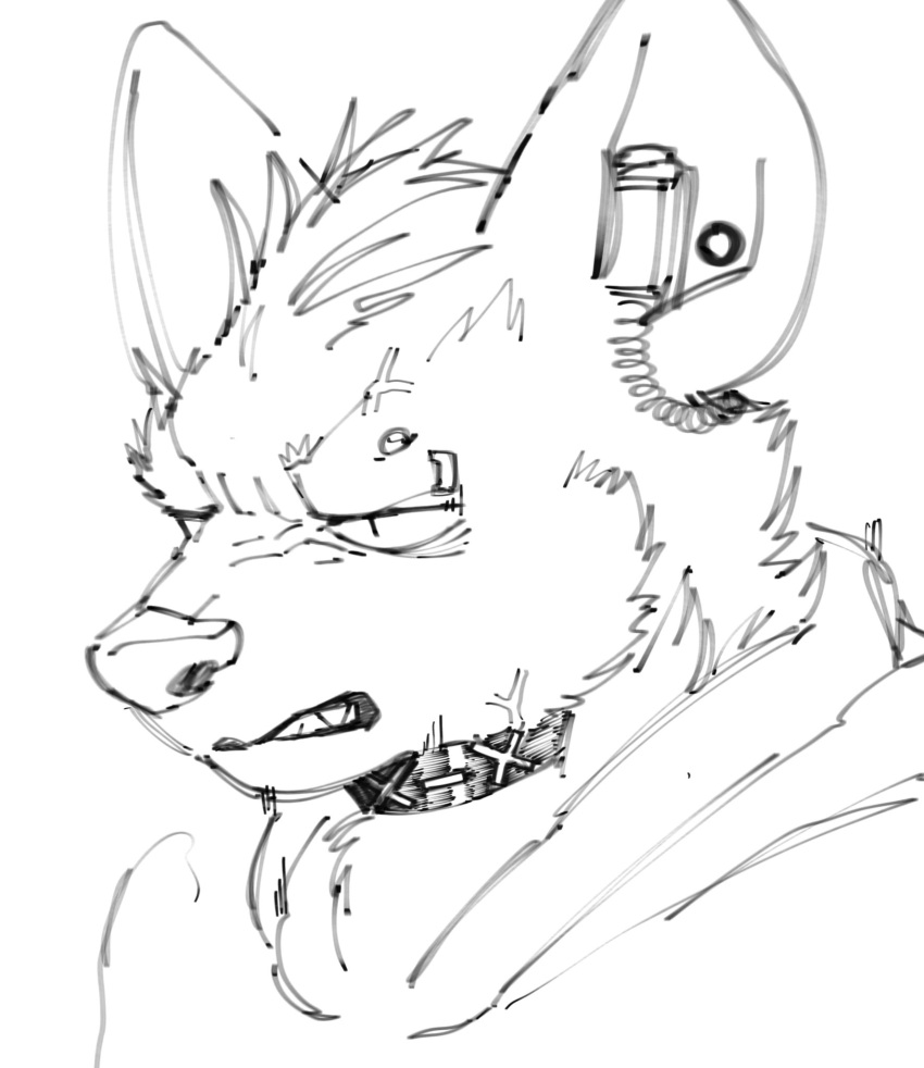 2024 angry anthro arknights collar cross-popping_vein ear_piercing eyebrow_piercing facial_piercing hi_res hyena hypergryph male mammal monochrome piercing pluto08010511 pu94_d1de4c sketch solo spot_(arknights) spotted_hyena studio_montagne