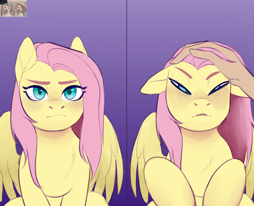 absurd_res blue_eyes equid equine evlass fluttershy_(mlp) friendship_is_magic fur hair hasbro hi_res mammal meme my_little_pony mythological_creature mythological_equine mythology narrowed_eyes pegasus petting_head pink_hair reference_image wings yellow_body yellow_fur